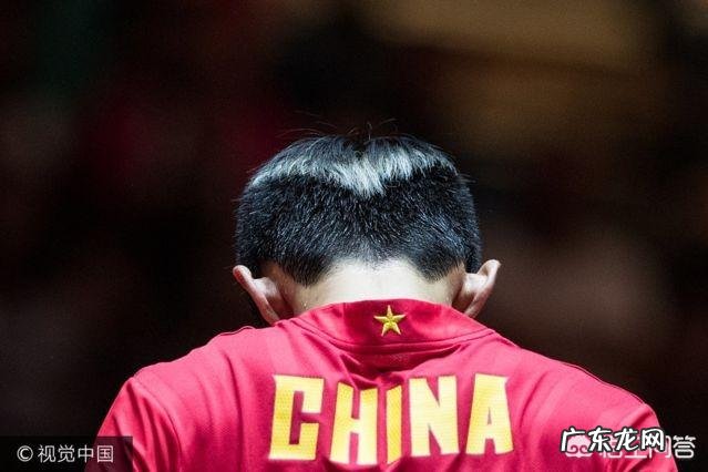 张继科还会回来打球吗?