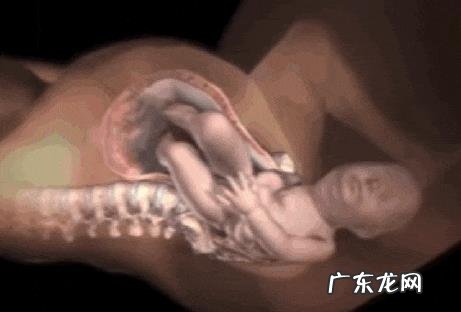 女人生孩子是顺产好?还是剖腹产好?