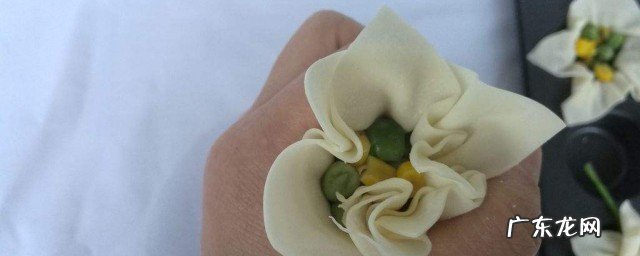 鲜花馄饨怎么做