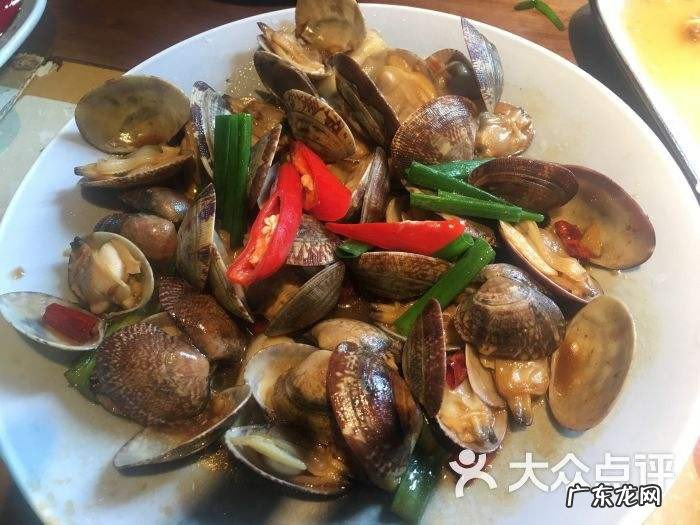 花贝最好吃的方法