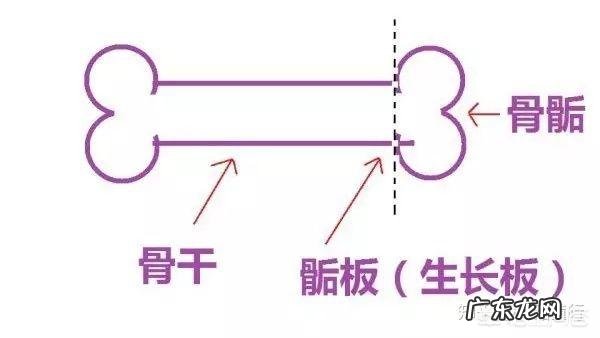 青少年出现什么特征就不长高了?