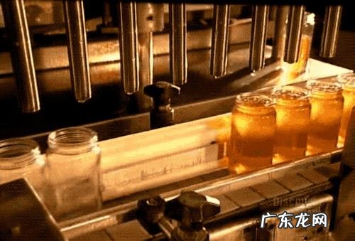 蜂蜜对胃病有治疗效果吗？