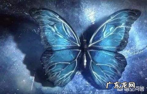 中国历史上有哪些神奇的蝴蝶效应?