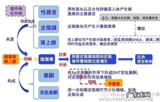 油性皮肤该怎么护理？