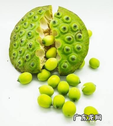 新鲜莲子吃法有哪些？