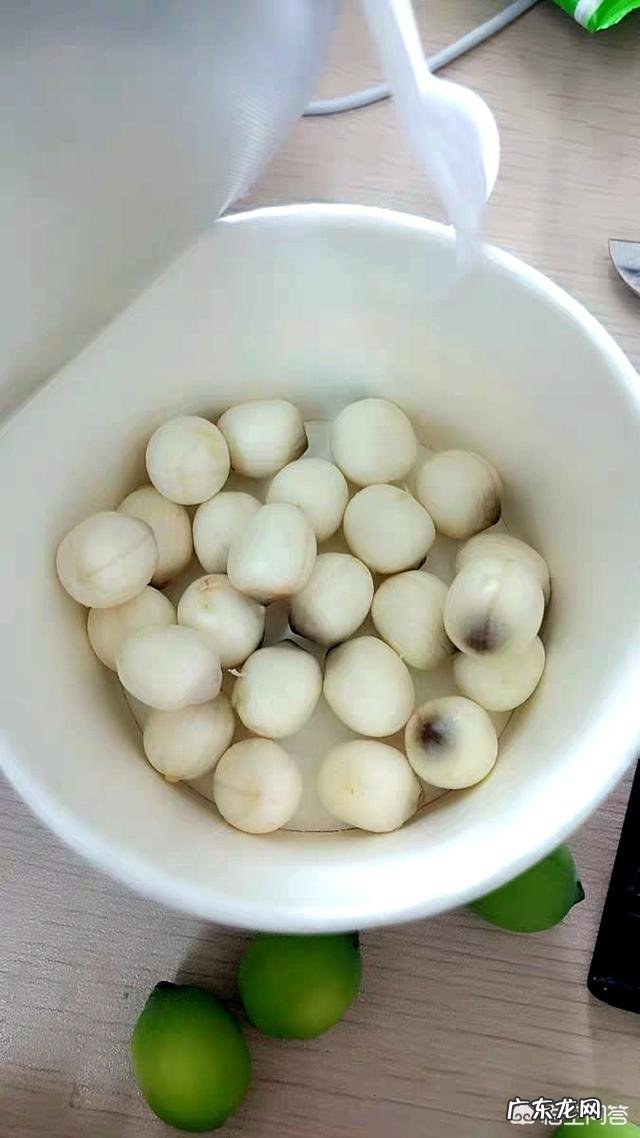 新鲜莲子吃法有哪些?