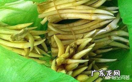 新鲜莲子吃法有哪些？