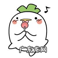 白萝卜有哪些功效和作用呢?