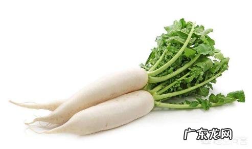 白萝卜有哪些功效和作用呢？