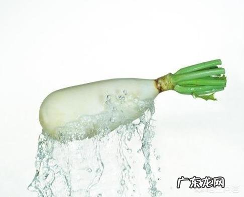 白萝卜有哪些功效和作用呢？