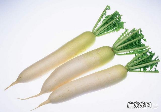白萝卜有哪些功效和作用呢？