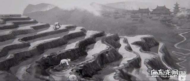 白萝卜有哪些功效和作用呢?