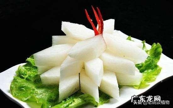 白萝卜有哪些功效和作用呢?