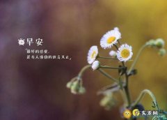 一句话的简短早安说说大全