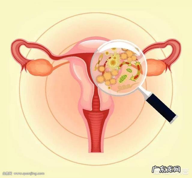 妇产科和妇科有区别吗?