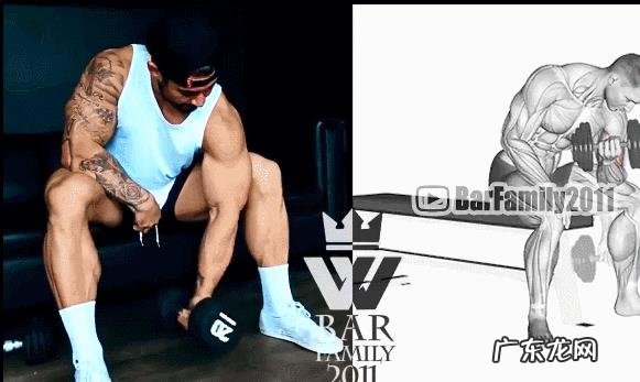 锻炼肱二头肌多久有效果?有什么好的技巧?