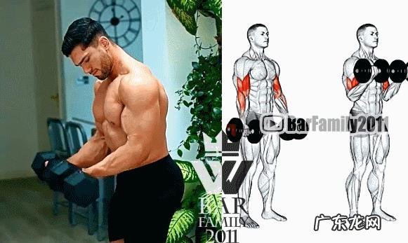 锻炼肱二头肌多久有效果?有什么好的技巧?