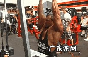 锻炼肱二头肌多久有效果？有什么好的技巧？