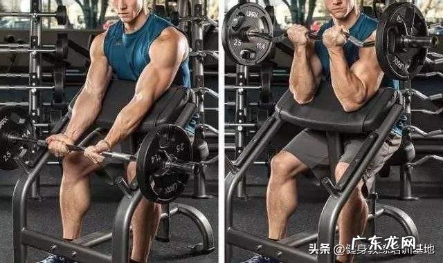 锻炼肱二头肌多久有效果?有什么好的技巧?