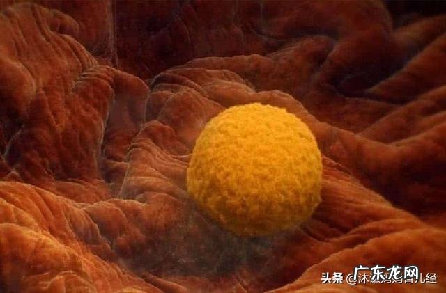 怀孕四十天孕囊有多大?需注意什么?