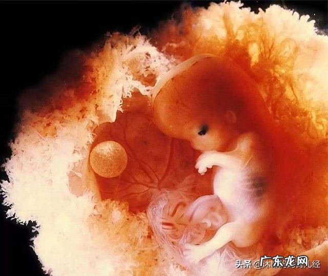 怀孕四十天孕囊有多大?需注意什么?