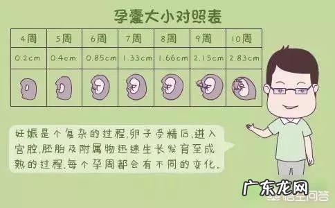 怀孕四十天孕囊有多大?需注意什么?