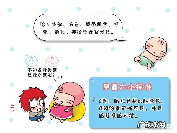 怀孕四十天孕囊有多大?需注意什么?