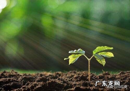 有什么好笑的笑话或者故事?