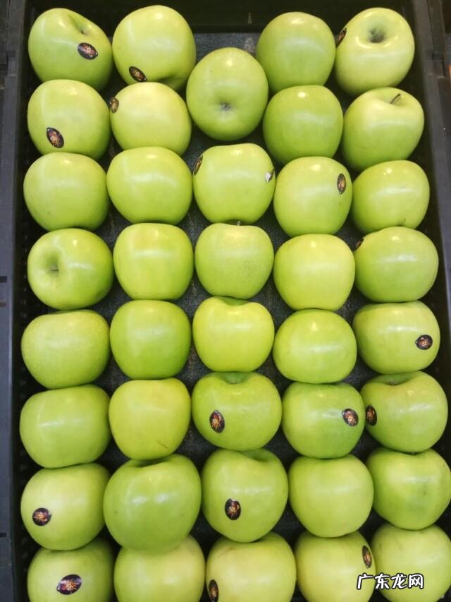 #营养美食季#酒后护肝吃点什么比较好?