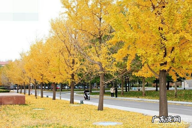 为什么有些大学生的素质那么低?