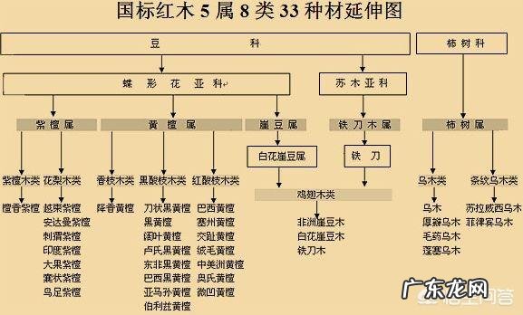 有没有一些关于红木家具的基本知识可分享?