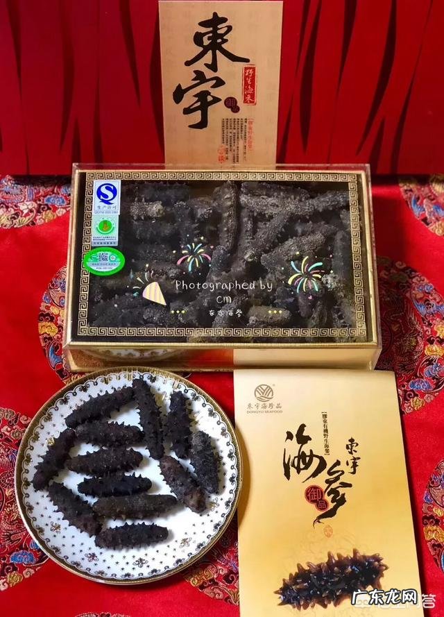 国内哪里的海参比较好?