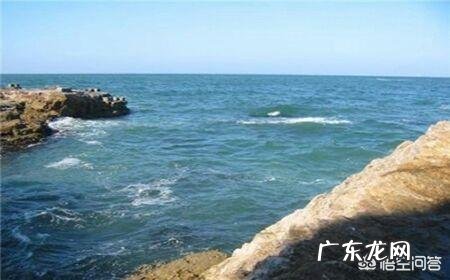 国内哪里的海参比较好?