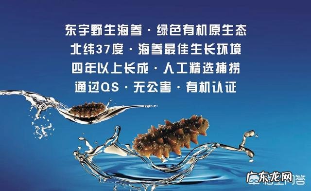 国内哪里的海参比较好?