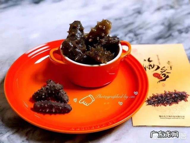 国内哪里的海参比较好?