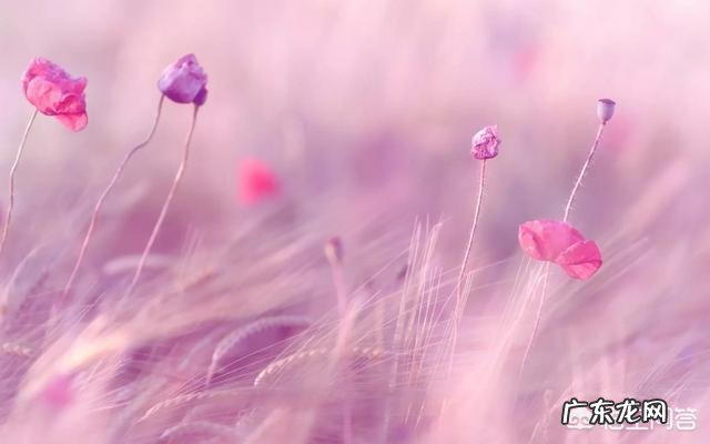 为什么感觉单曲循环的歌曲百听不腻?