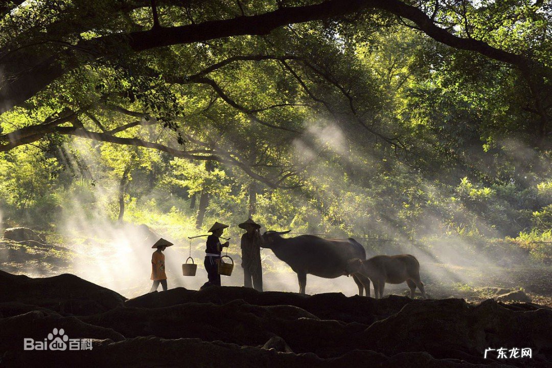 霞浦旅游必去十大景点