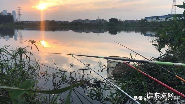 野钓鲫鱼饵料用什么比较好?