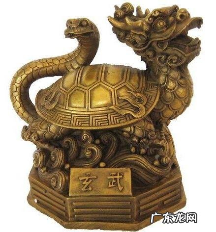 哪些动物在中国文化中有着象征意义?