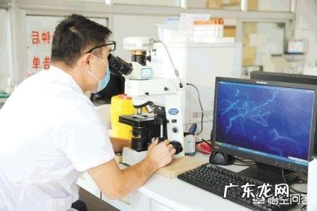 手上总起痒痒的小水泡,到底是咋回事?