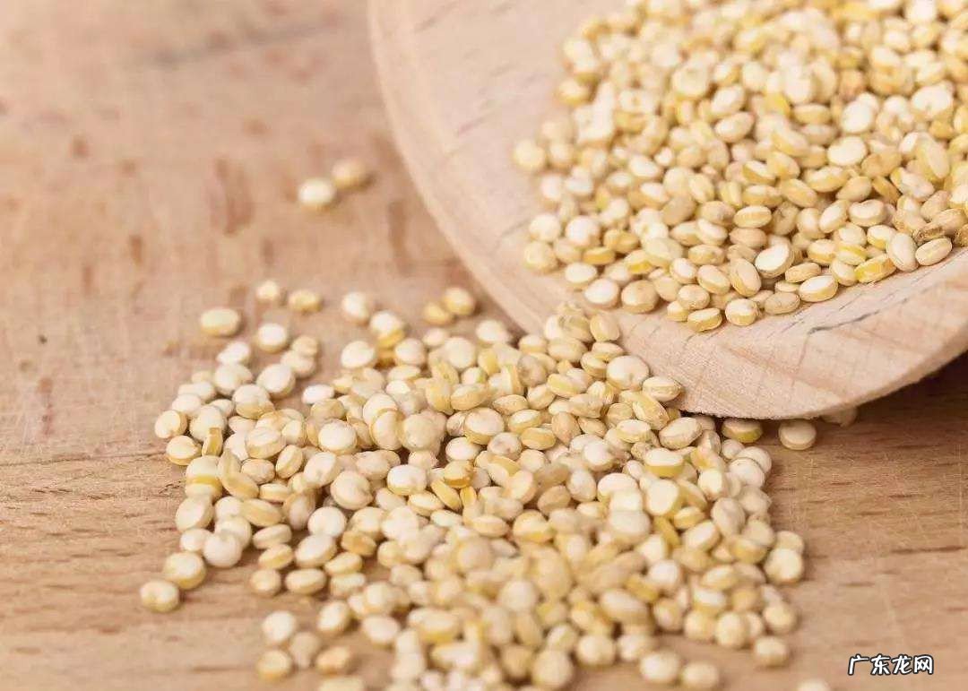 血糖高的人吃什么主食最好