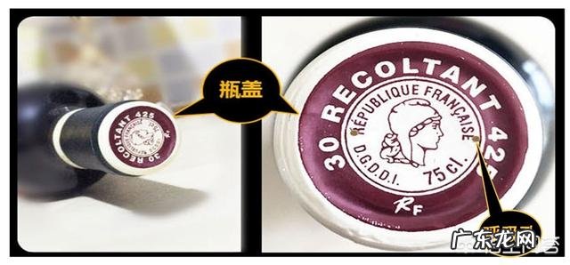 怎样快速掌握红酒知识?