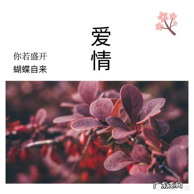 孩子刚读高中,发现孩子恋爱了,应该怎么样引导孩子正确的爱情观念?