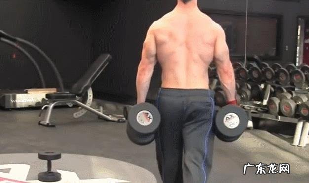 只用哑铃在家里练习的话,如何给自己安排健身计划?