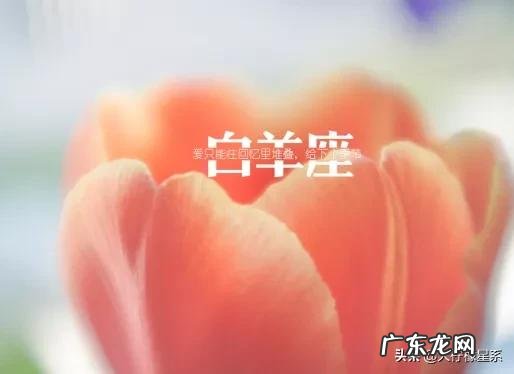 白羊座是一个怎样的星座?