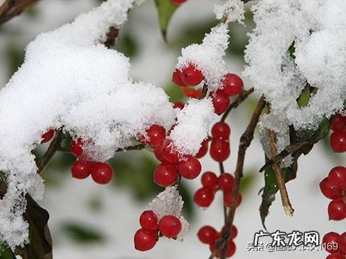 小寒快到了,老农说“小寒暖,立春雪”有道理吗?小寒不寒吗?
