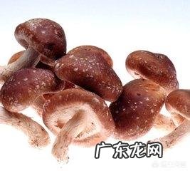 到底有没有“防癌、抗癌食物”？
