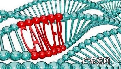 到底有没有“防癌、抗癌食物”？