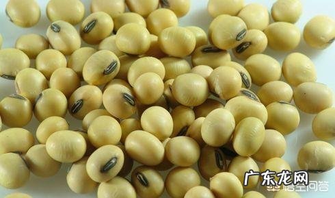 到底有没有“防癌、抗癌食物”?