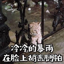 多地超凶冷空气过境,雨雪降温齐发,寒冬就要来了吗?